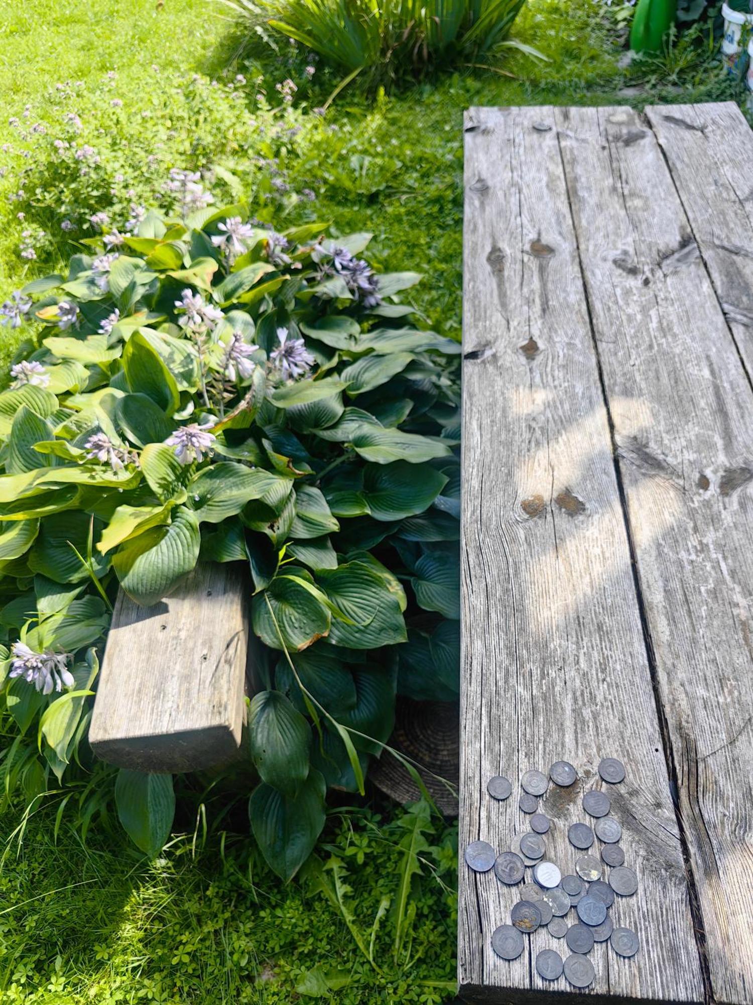 Hisa Hortenzija Luče Exterior foto